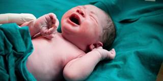 Sucrose + Warmth: Effective Analgesic for Neonatal Pain? Sucrose + Warmth: Effective Analgesic for Neonatal Pain?
