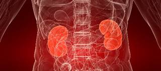 Vancomycin + piperacillin-tazobactam therapy has been linked to a higher risk of AKI Vancomycin + piperacillin-tazobactam therapy has been linked to a higher risk of AKI