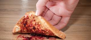 The researchers dropped four difference foods, on four different surfaces to test the level of transference The researchers dropped four difference foods, on four different surfaces to test the level of transference