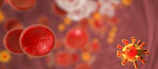 Six percent of women with HIV suppression during pregnancy had viral load rebound before delivery Six percent of women with HIV suppression during pregnancy had viral load rebound before delivery