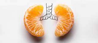 COPD risk may be reduced by eating fruits and vegetables COPD risk may be reduced by eating fruits and vegetables