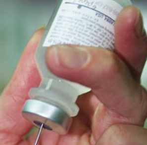 Swine flu crisis stirs vaccine debate Swine flu crisis stirs vaccine debate