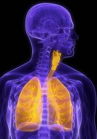 Breakthrough Tx status granted for mutation-positive NSCLC Breakthrough Tx status granted for mutation-positive NSCLC