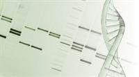 Genetics May Explain Higher Birth Defects Risk in Older Mothers Genetics May Explain Higher Birth Defects Risk in Older Mothers