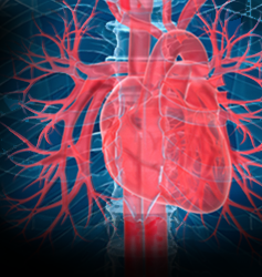 Nonsignificant and inconsistent trends noted over time for incidence of cardiogenic shock Nonsignificant and inconsistent trends noted over time for incidence of cardiogenic shock