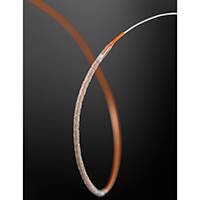 XIENCE XPEDITION (everolimus drug eluting stent) by Abbott XIENCE XPEDITION (everolimus drug eluting stent) by Abbott