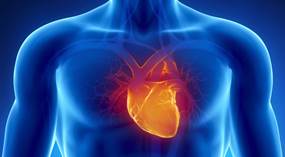 Comprehensive CVD Management Comprehensive CVD Management