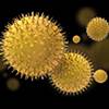 Allergy Rates Vary for Children, Steady for Adults Allergy Rates Vary for Children, Steady for Adults