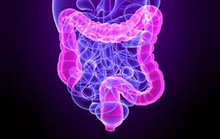 Vitamin D3 + Metformin May Lower Colon Cancer Risk More Than Either Alone Vitamin D3 + Metformin May Lower Colon Cancer Risk More Than Either Alone