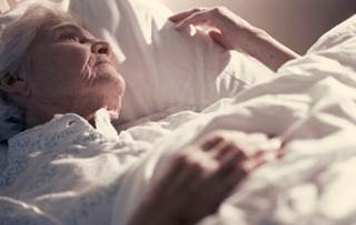 Supplementation Could Help Circadian Clock Changes With Aging Supplementation Could Help Circadian Clock Changes With Aging