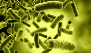 Bacterial Infections Linked to Specialty Compounding Products Bacterial Infections Linked to Specialty Compounding Products