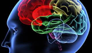 Male Teens See Improved Attention, Motor Speed With Citicoline Supplement Male Teens See Improved Attention, Motor Speed With Citicoline Supplement