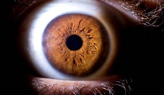 No significant change, difference in measurements of inner retinal thickness for short-, long-term use No significant change, difference in measurements of inner retinal thickness for short-, long-term use