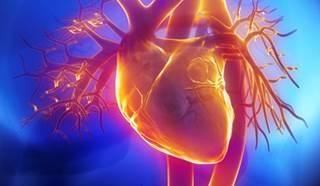 Study: No Increased CV Risk With Lixisenatide for Diabetes Study: No Increased CV Risk With Lixisenatide for Diabetes