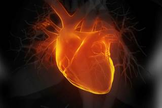 #10: "New JNC 8 Hypertension Guidelines: What Does the Panel Recommend Now?" #10: "New JNC 8 Hypertension Guidelines: What Does the Panel Recommend Now?"