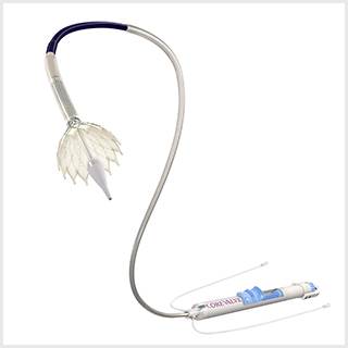 Medtronic CoreValve System Medtronic CoreValve System