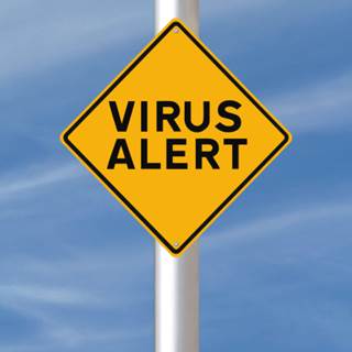What is the Bourbon Virus? What is the Bourbon Virus?