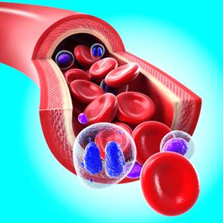 Patients with elevated albumin excretion rate have increased risk of adverse cardiovascular outcomes Patients with elevated albumin excretion rate have increased risk of adverse cardiovascular outcomes