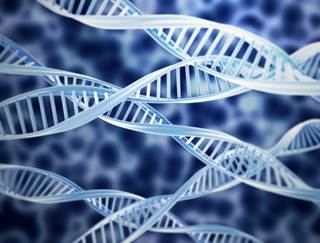 Single DNA Change Can Affect Diabetes Drug Response Single DNA Change Can Affect Diabetes Drug Response