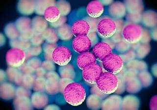 WHO: First Global Report on Antibiotic Resistance WHO: First Global Report on Antibiotic Resistance