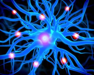 Internal Opioid System Predicts NSAID Tx Response for Neuropathic Pain Internal Opioid System Predicts NSAID Tx Response for Neuropathic Pain