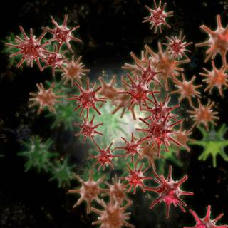 HIV Prevention Tx May Also Prevent Genital Herpes HIV Prevention Tx May Also Prevent Genital Herpes