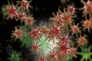 Investigational Shingles Vaccine Effective Across Older Age Groups Investigational Shingles Vaccine Effective Across Older Age Groups