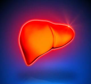 Screening for HCC: Should It Be Routine in Chronic Liver Disease Patients? Screening for HCC: Should It Be Routine in Chronic Liver Disease Patients?