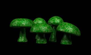 Depression and anxiety decreased for cancer patients who took one dose of psilocybin Depression and anxiety decreased for cancer patients who took one dose of psilocybin