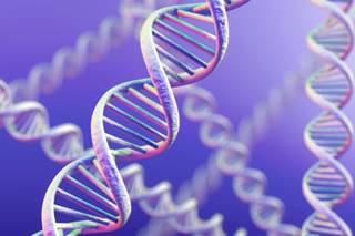 First Genetic Identifier for Autism Found First Genetic Identifier for Autism Found