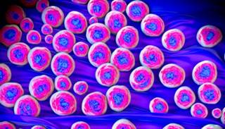 New Group of Antibiotics Hold Promise in Treating MRSA New Group of Antibiotics Hold Promise in Treating MRSA