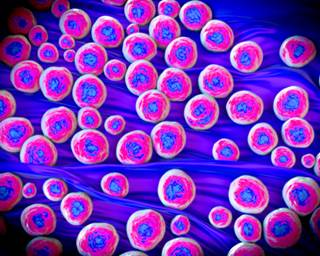 Quizzing Patients on Antibiotics: Do They Pass or Fail? Quizzing Patients on Antibiotics: Do They Pass or Fail?