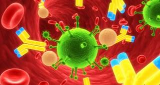 Immune Disorder Eyed as Possible Alzheimer's Cause Immune Disorder Eyed as Possible Alzheimer's Cause