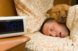The Pet Owner's Sleep Disorder The Pet Owner's Sleep Disorder