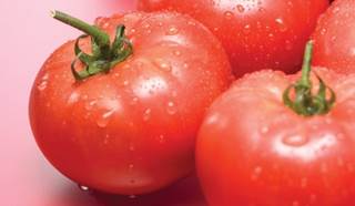 Tomatoes as Gout Trigger? New Study Adds to Evidence Tomatoes as Gout Trigger? New Study Adds to Evidence