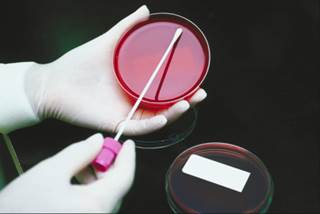 Dangerous Pathogen Experiments Could Kill At Least 2,000 Per Year Dangerous Pathogen Experiments Could Kill At Least 2,000 Per Year