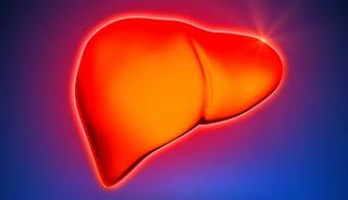 Severe Hepatic Injury Tied to Potentially Toxic Ingredient in Bodybuilding Supplement Severe Hepatic Injury Tied to Potentially Toxic Ingredient in Bodybuilding Supplement