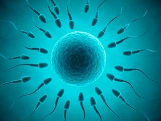 Paternal Sperm "Tags" May Play a Role in Child's Autism Risk Paternal Sperm "Tags" May Play a Role in Child's Autism Risk