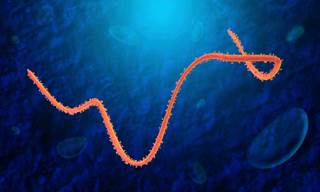 This Ebola Test Can Diagnose in 15 Minutes With Single Drop of Blood This Ebola Test Can Diagnose in 15 Minutes With Single Drop of Blood