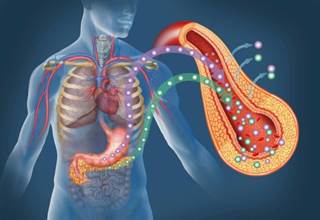 Relizorb Approved to Improve Fat Absorption in Enteral Feeders Relizorb Approved to Improve Fat Absorption in Enteral Feeders