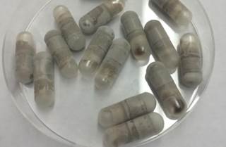 Healthy Microbiome Changes Last After Fecal Transplant in New Research Healthy Microbiome Changes Last After Fecal Transplant in New Research