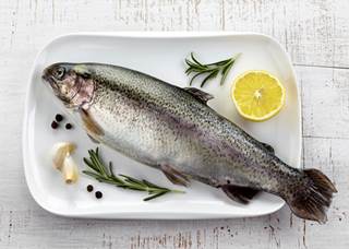 Are Fish Contributing to Antibiotic Resistance? Are Fish Contributing to Antibiotic Resistance?