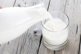 Why Probiotics Could Be Novel Tx for Food Allergies Why Probiotics Could Be Novel Tx for Food Allergies