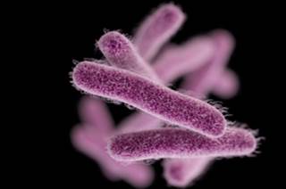 Multidrug-Resistant Intestinal Illness Spreading in U.S. Multidrug-Resistant Intestinal Illness Spreading in U.S.