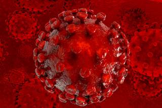Two Vaccines Show Promise for HIV-1 Two Vaccines Show Promise for HIV-1