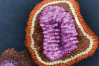 2014/15 Flu Season Live Vaccine Ineffective Against A/H3N2 Strains in Children 2014/15 Flu Season Live Vaccine Ineffective Against A/H3N2 Strains in Children