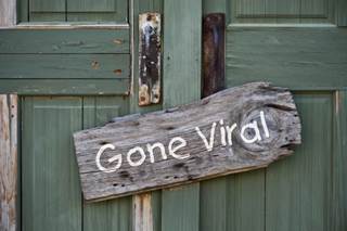 H1N1 Pandemic vs. Ice Bucket Challenge: Which Was More Infectious? H1N1 Pandemic vs. Ice Bucket Challenge: Which Was More Infectious?