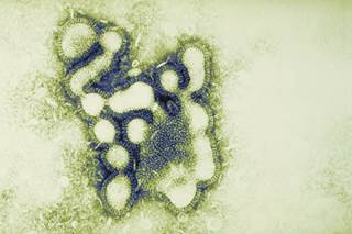 CDC Declares Flu Epidemic After Death of 15 Children CDC Declares Flu Epidemic After Death of 15 Children