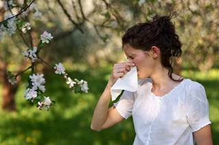 Experts Predicting a "Pollen Vortex" Experts Predicting a "Pollen Vortex"