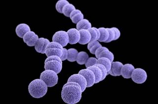 HIV Drug May Block <i>S. Pyogenes</i> Toxin Production HIV Drug May Block <i>S. Pyogenes</i> Toxin Production
